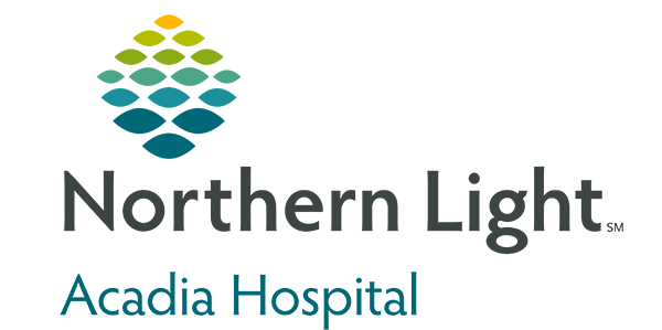 Northern Light Acadia logo
